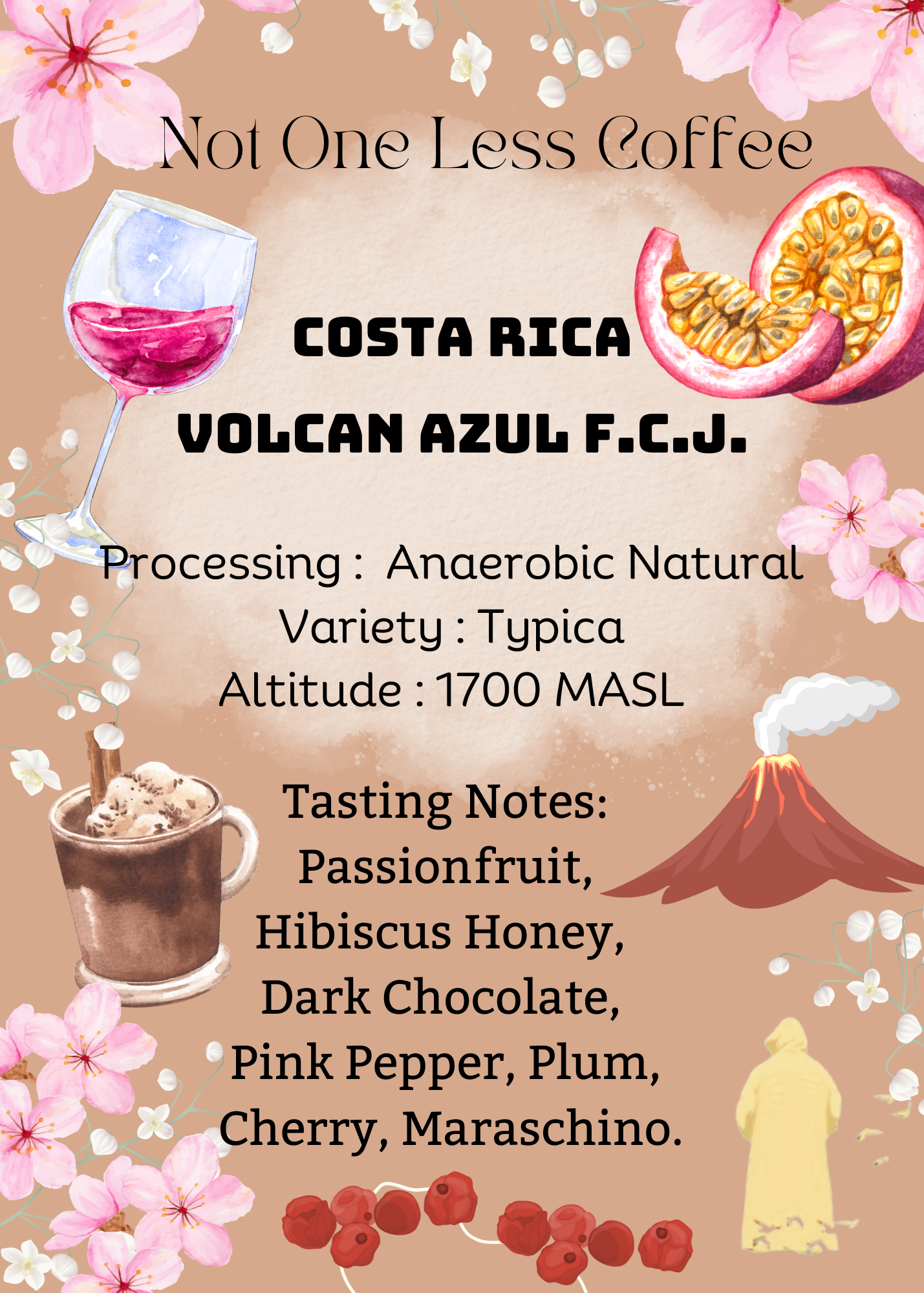 [♥熱情果醬/黑朱古力/櫻桃酒] Costa Rica - Volcan Azul F.C.J. - Thermal Shock Anaerobic Natural - Typica