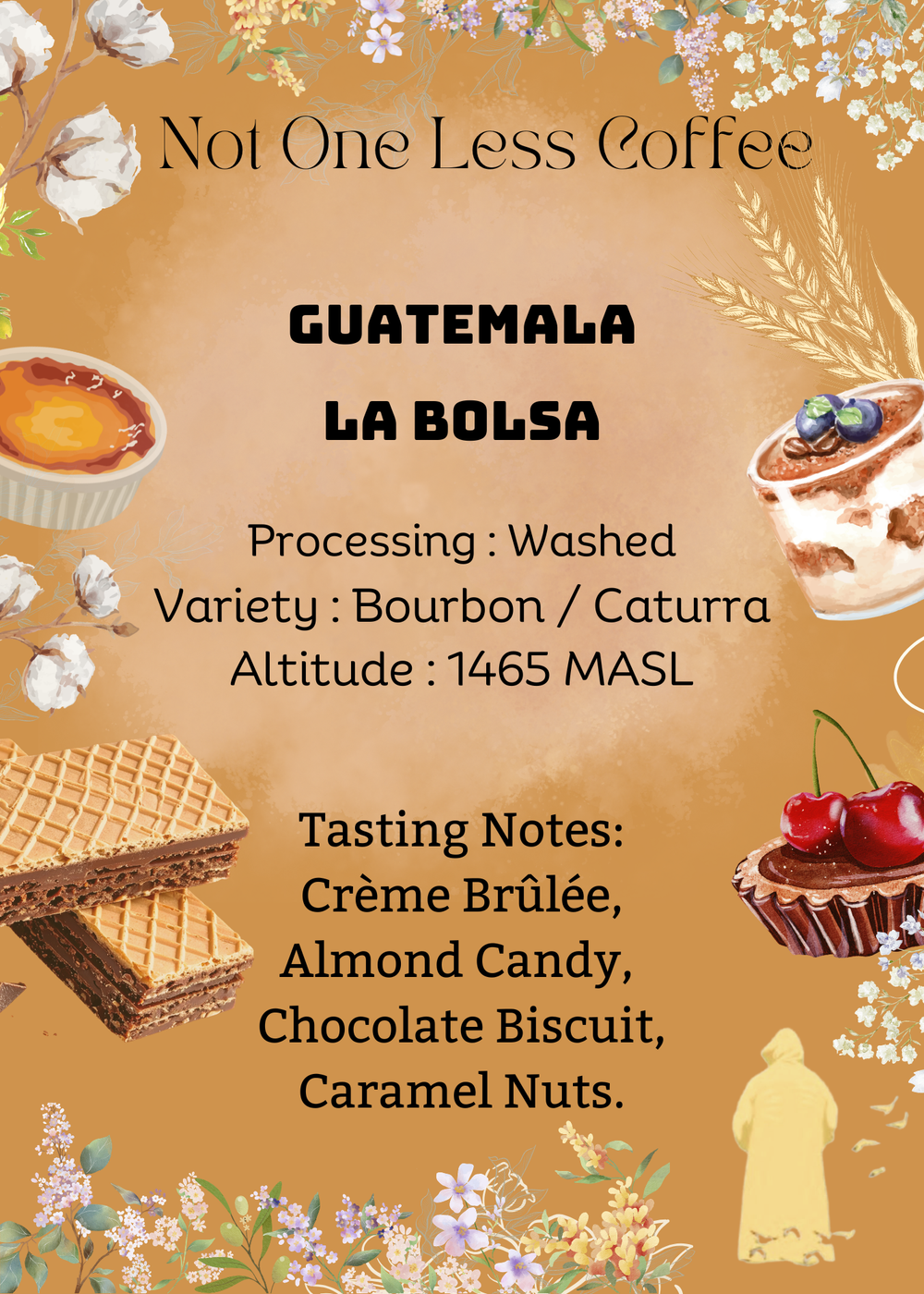 [♥杏仁糖/牛奶朱古力餅乾/焦糖堅果] Guatemala - La Bolsa - Washed - Bourbon / Caturra