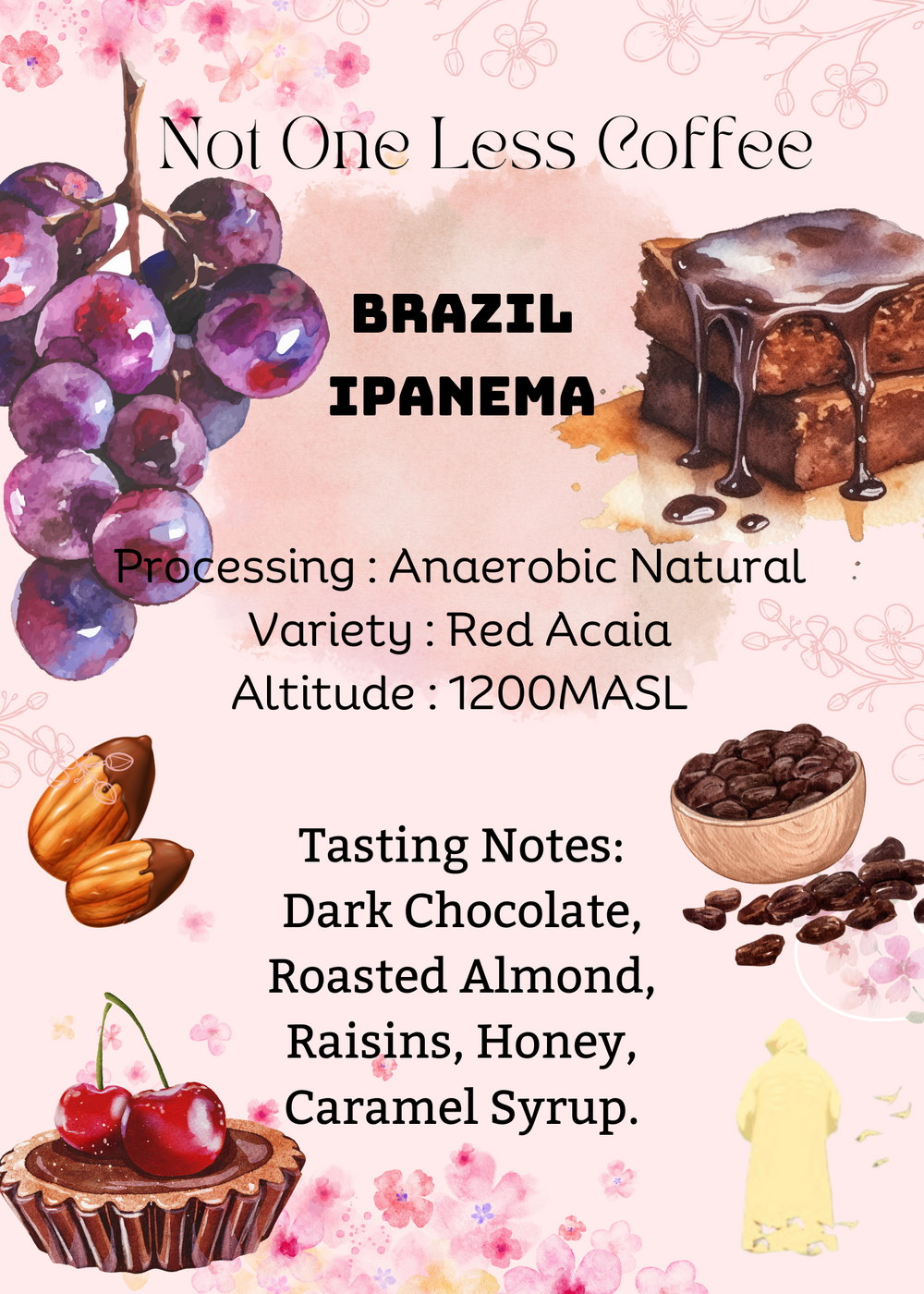 [♥黑朱古力/提子乾/焦糖漿] Brazil - Ipanema - Anaerobic Natural - Red Acaia