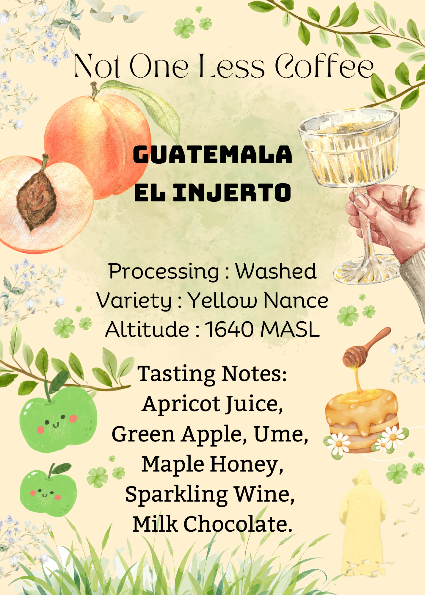 [♥杏桃果汁/蘋果梅子/牛奶朱古力] Guatemala - El Injerto - Washed - Yellow Nance