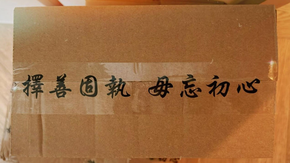 擇善固執 - 膠紙